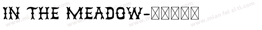 In The Meadow字体转换